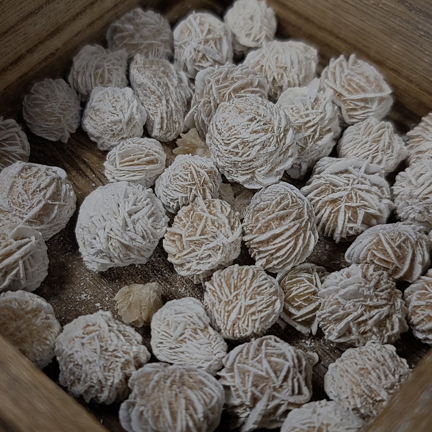 Desert Rose Selenite