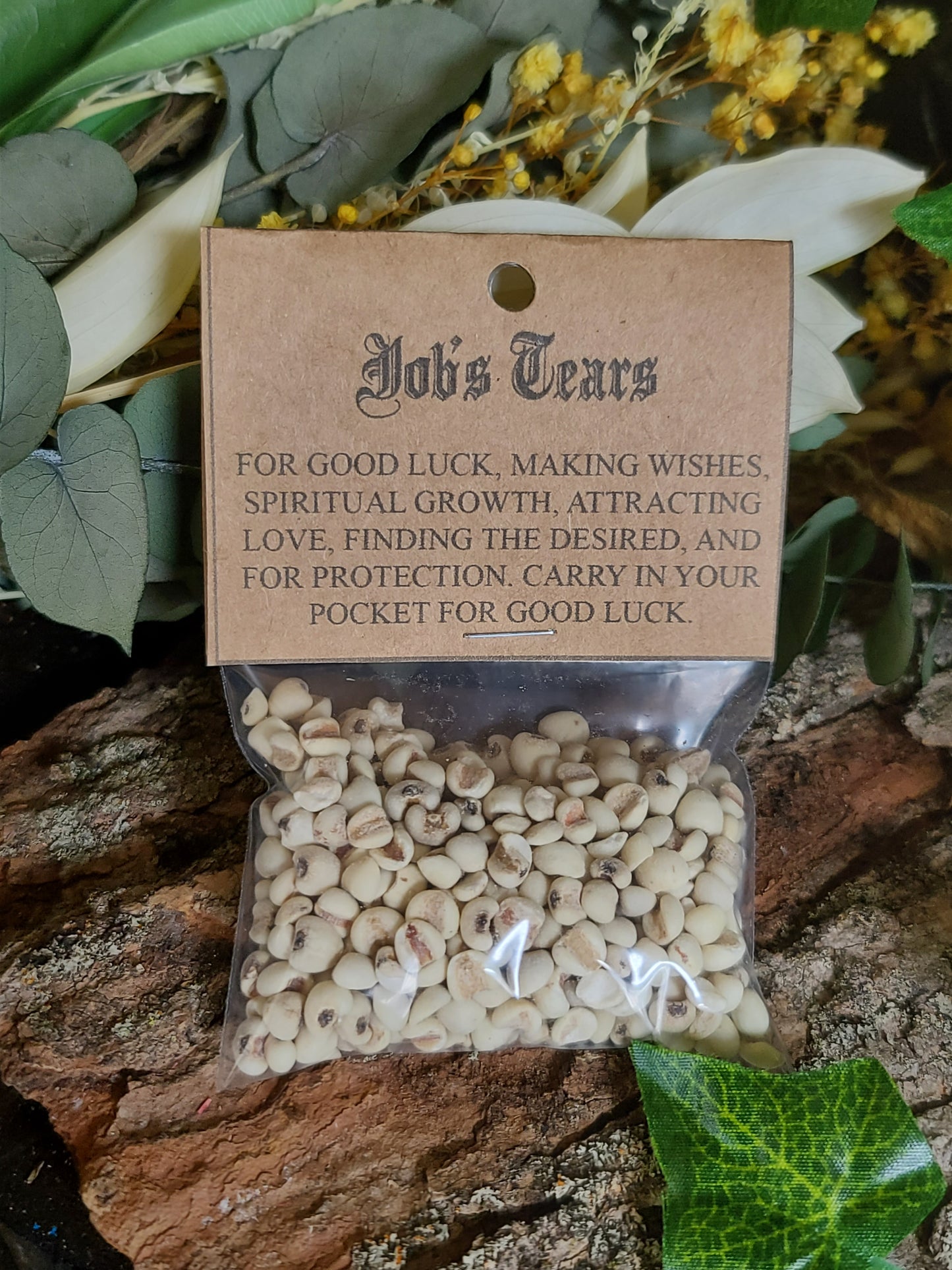 Ritual Herbs - Job's Tears