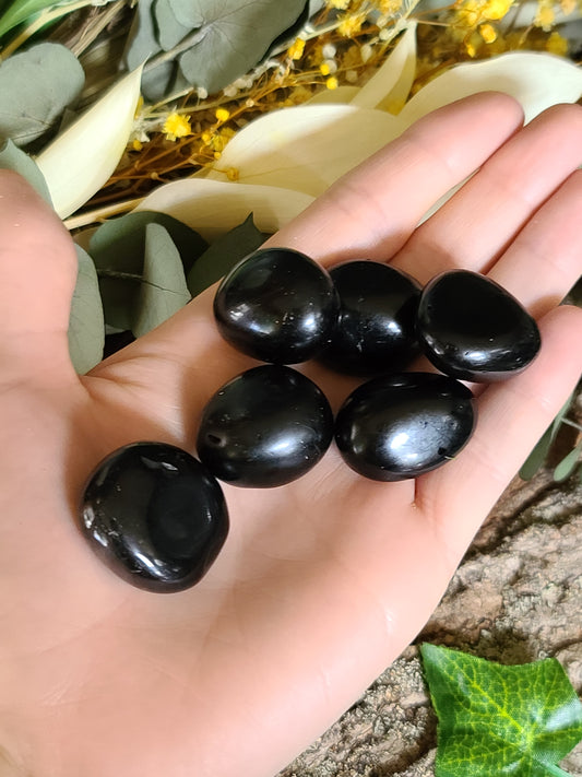 Black Obsidian (Tumbled)
