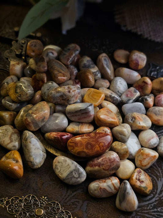 Crazy Lace Agate (Tumbled)