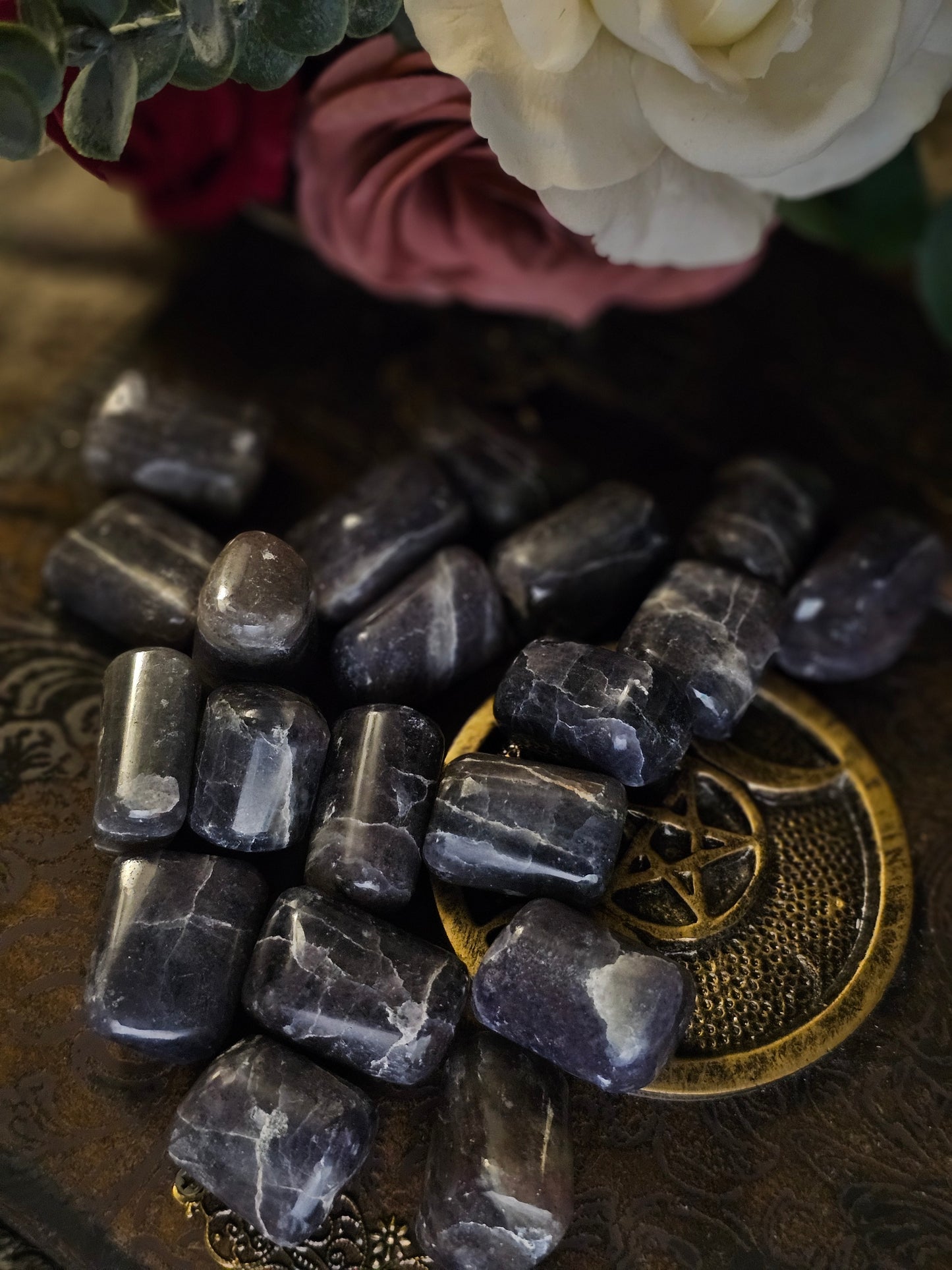 Iolite "Viking's Compass" (Tumbled)