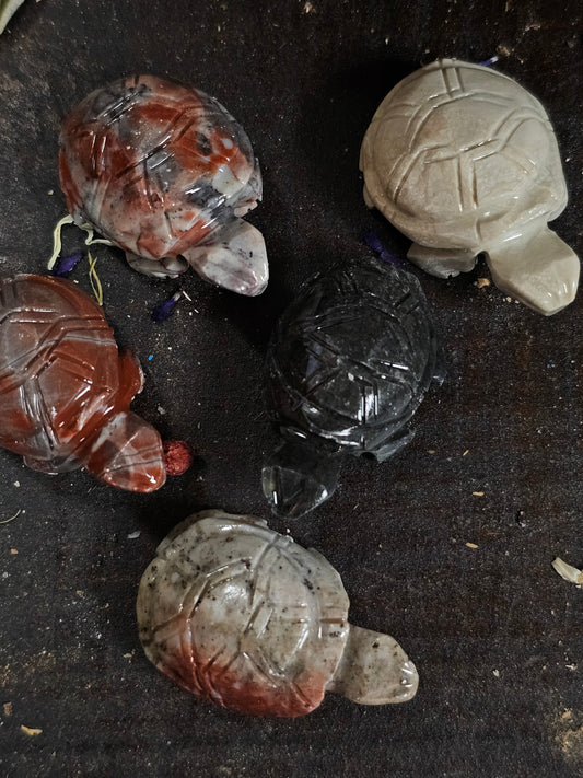 Turtle - Dolomite Spirit Animal