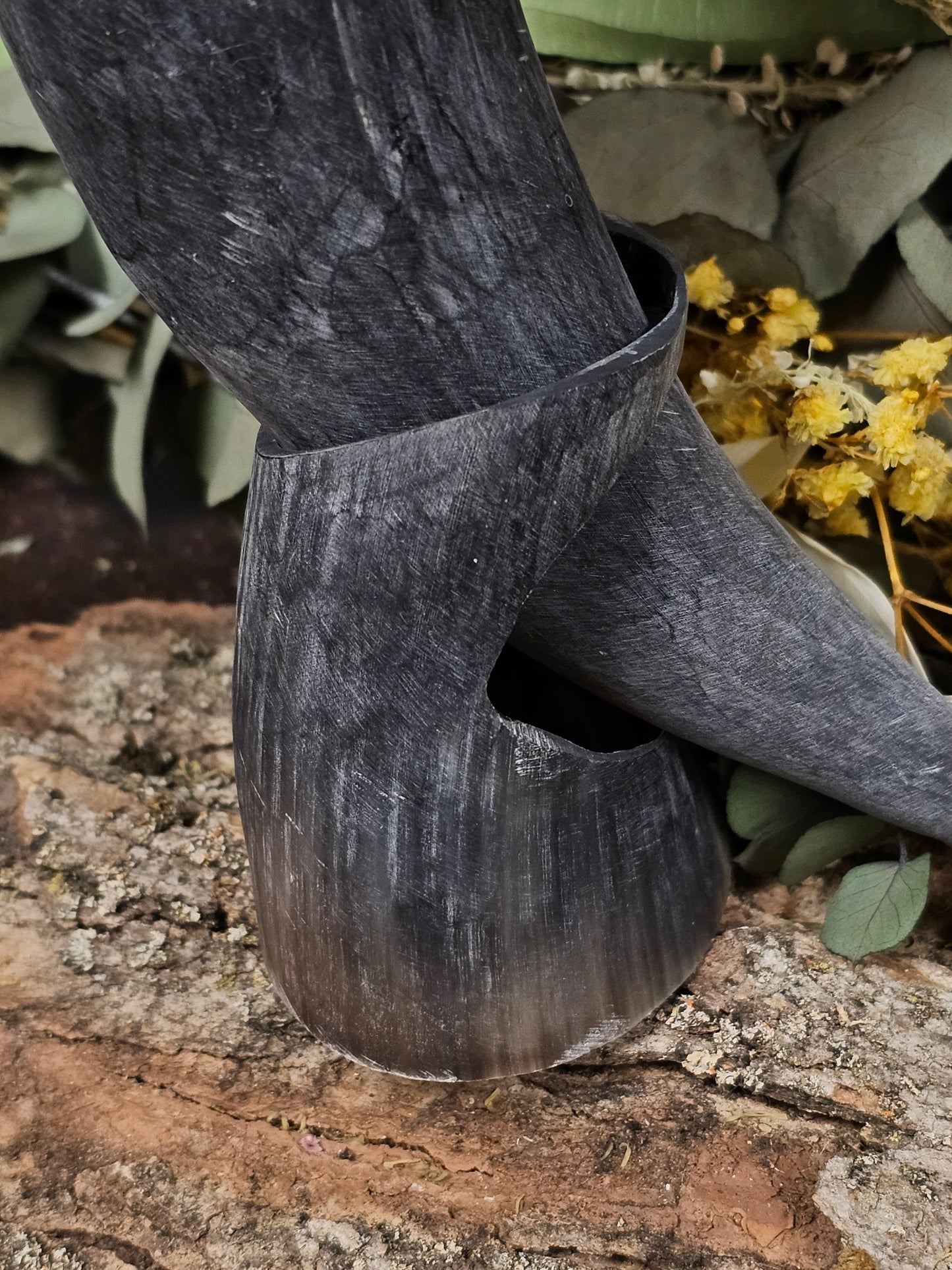 Drinking Horn