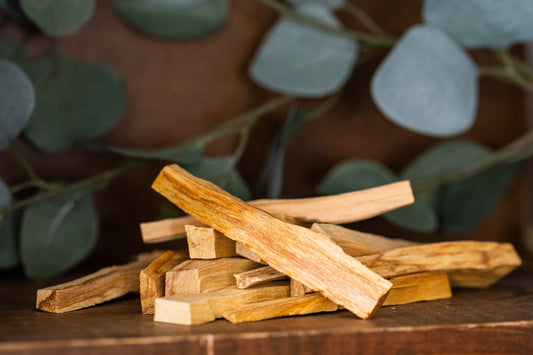 Palo Santo Sacred Wood Sticks (Pack of 4)