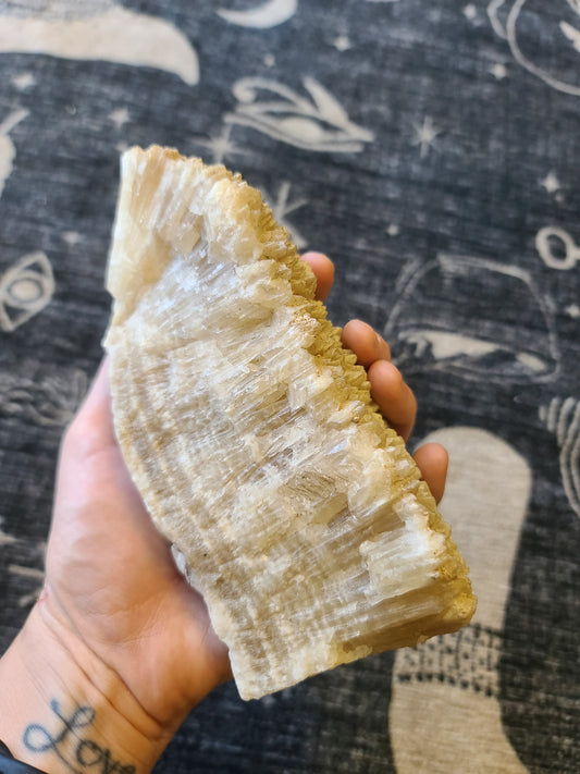 Banded Calcite Angel Wing