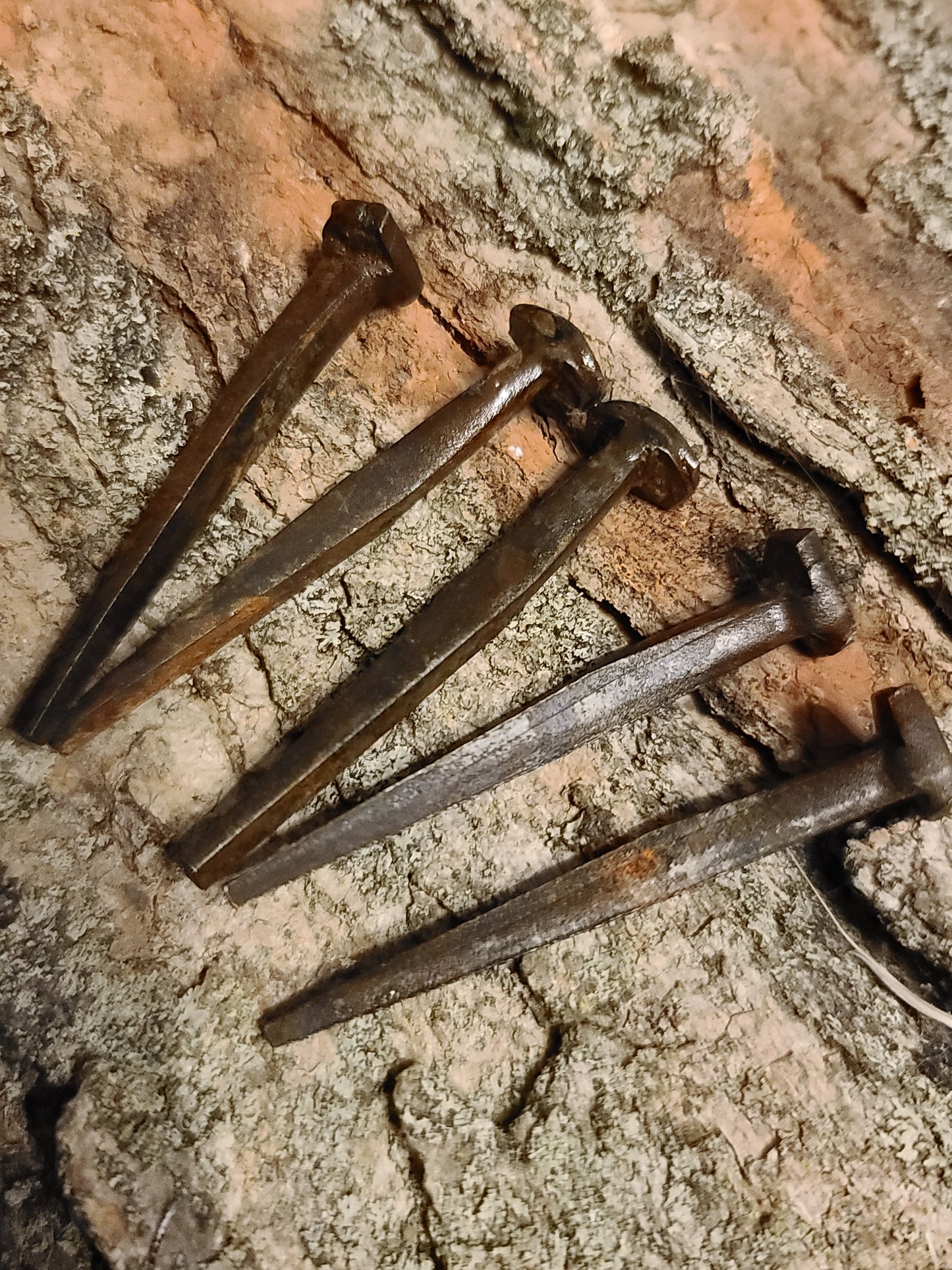 Hand Forged Wrought Iron Coffin Nails