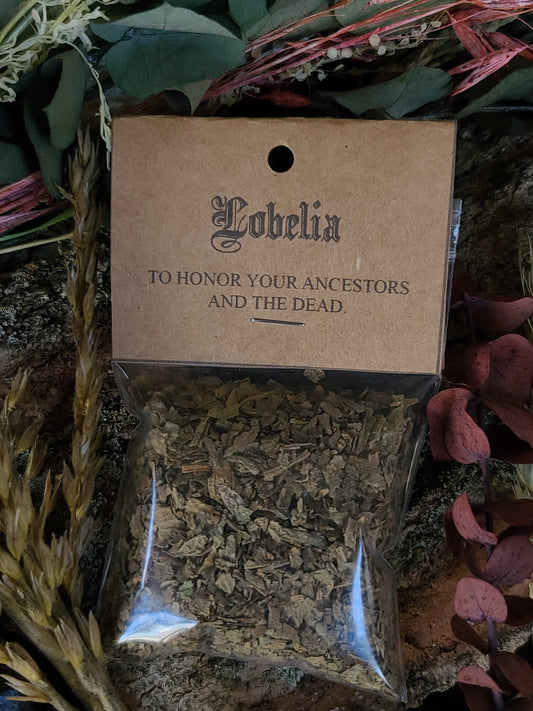 Ritual Herbs - Lobelia