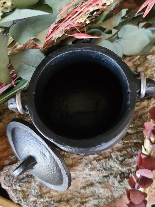 Triquetra Cast Iron Cauldron w/ Lid