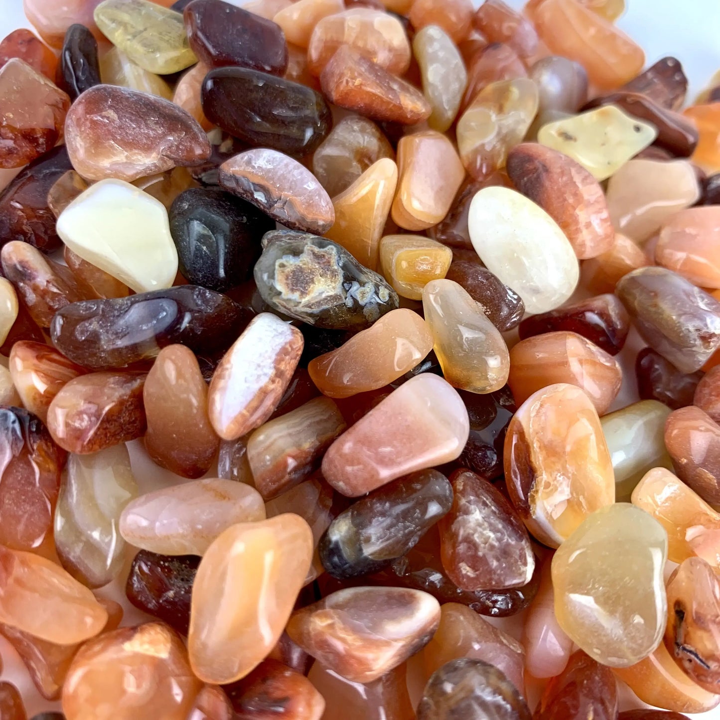 Carnelian Agate, Small (2 for $1)