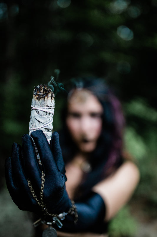 White Sage Herbal Bundle
