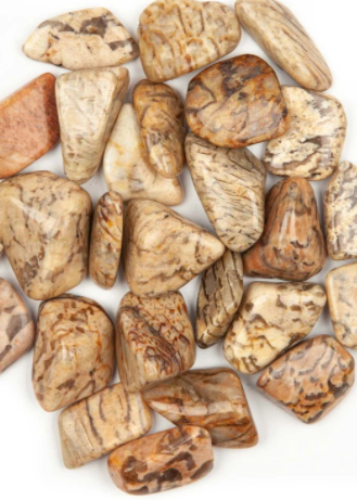 Zebradorite (Tumbled)