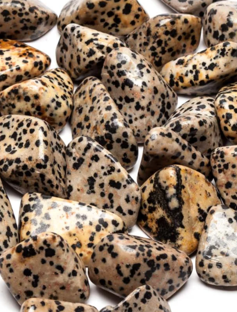 Dalmatian Jasper (Tumbled)