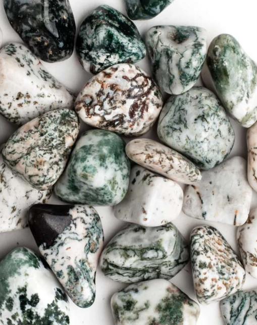 Tree Agate "Dendritic Agate" (Tumbled)