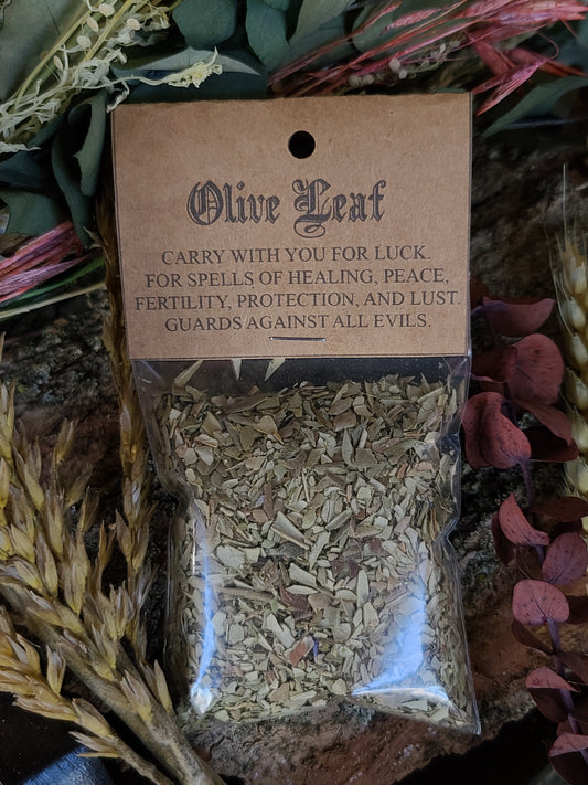 Ritual Herbs - Olive Leaf