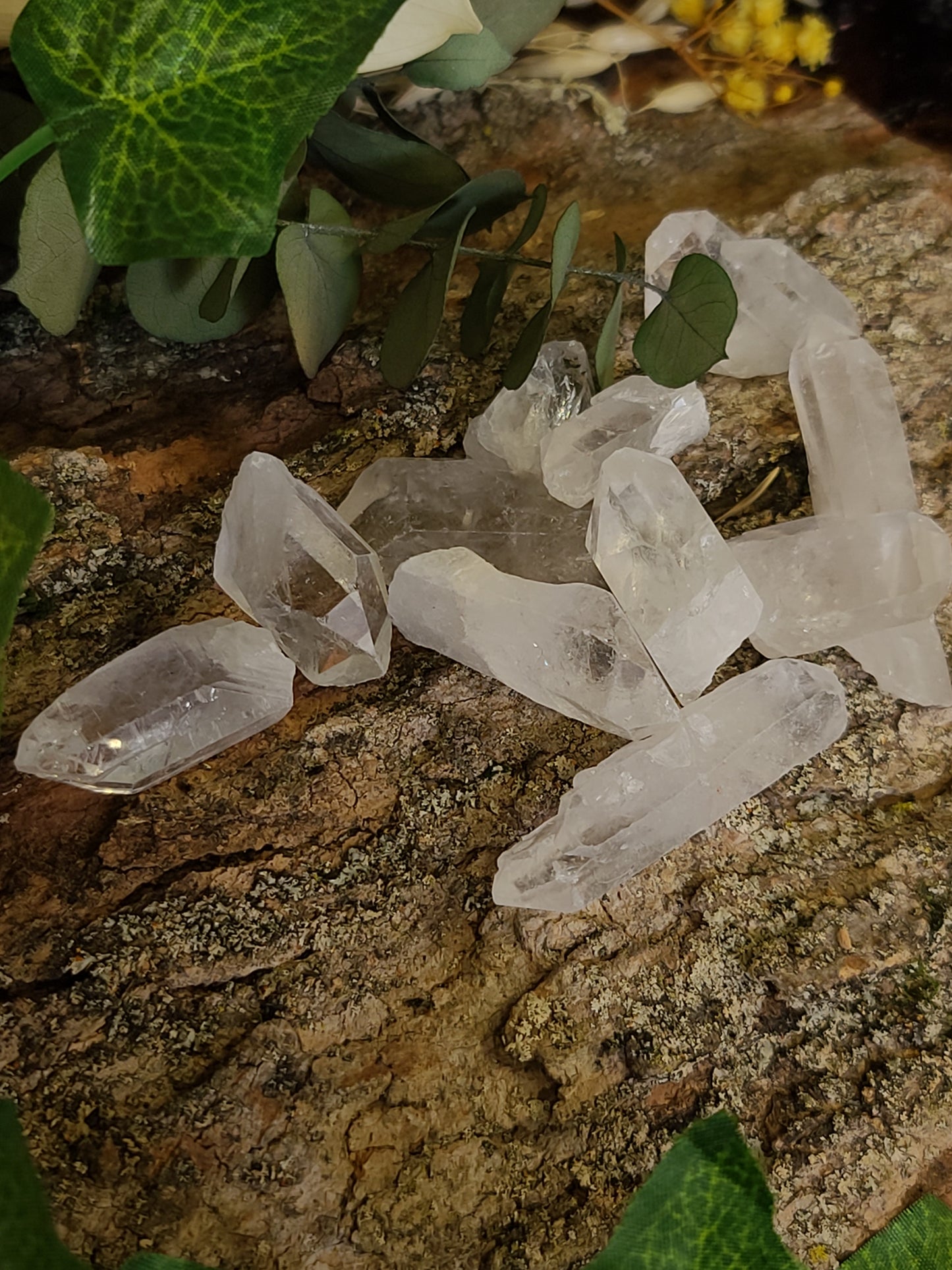 Clear Quartz Points (Raw)