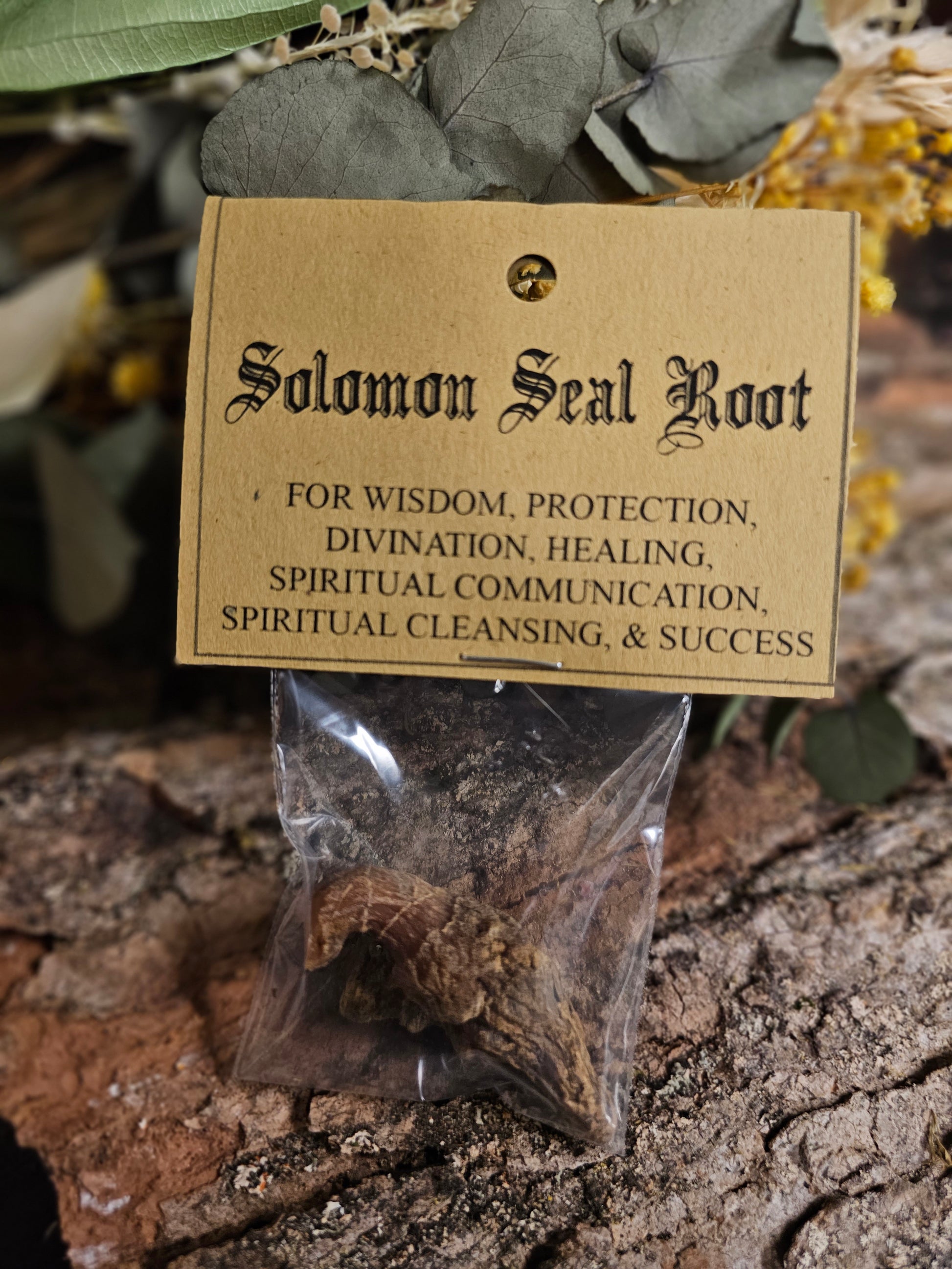 Ritual Herbs - Solomon's Seal Root – Maeva's Cottage
