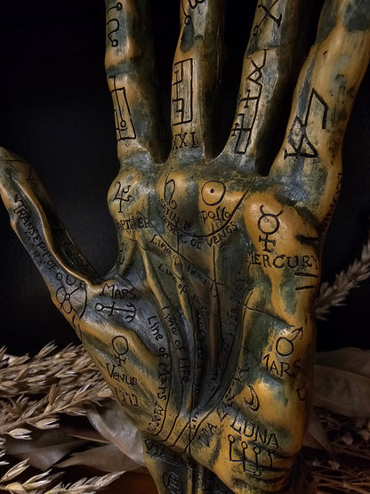 Palmistry Hand