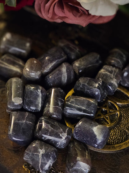 Iolite "Viking's Compass" (Tumbled)