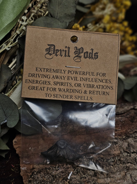Ritual Herbs - Devil Pod