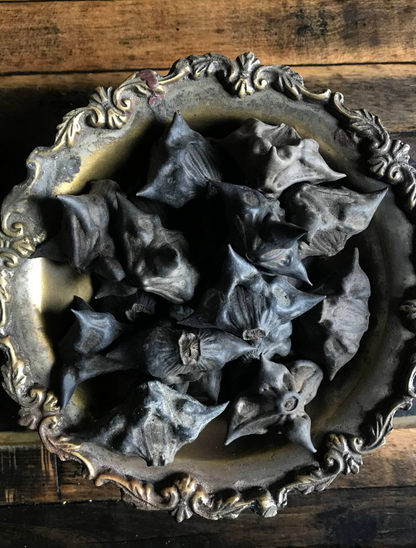 Ritual Herbs - Devil Pod