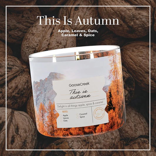 This is Autumn - Large 3-Wick Candle