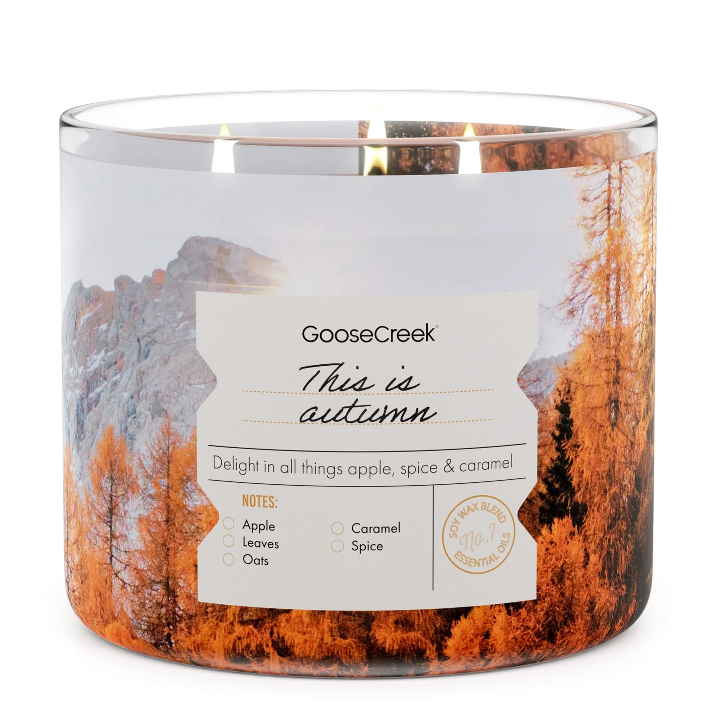 This is Autumn - Large 3-Wick Candle