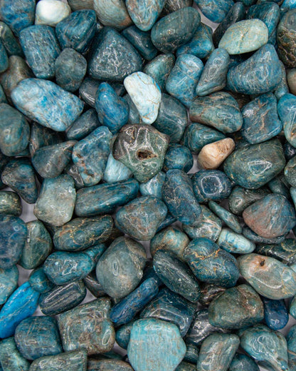 Blue Apatite (Tumbled)