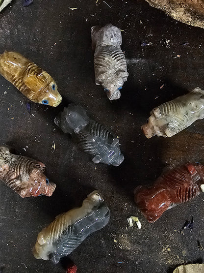 Lion - Dolomite Spirit Animal