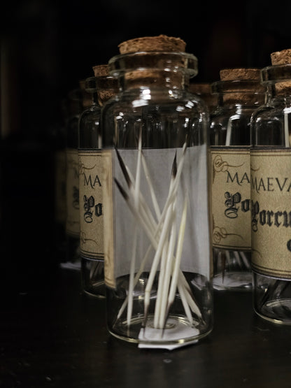 Porcupine Quills (10 pcs)