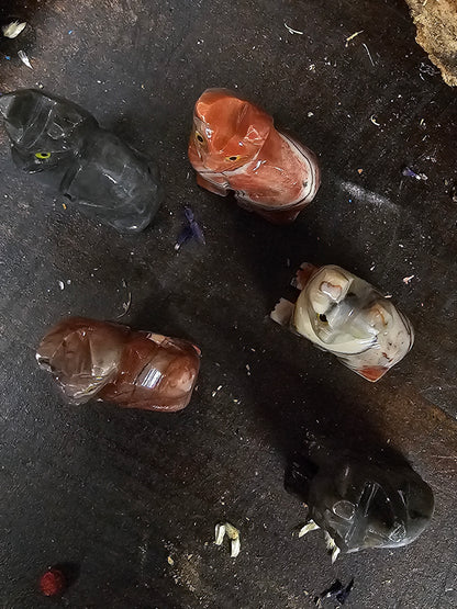 Cat - Dolomite Spirit Animal