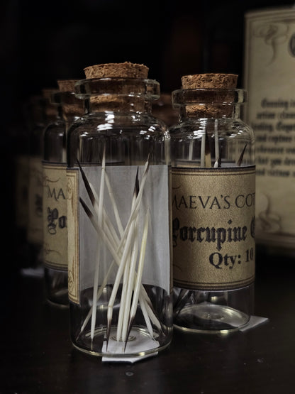 Porcupine Quills (10 pcs)