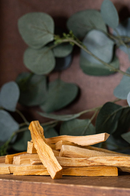 Palo Santo Sacred Wood Sticks (Pack of 4)