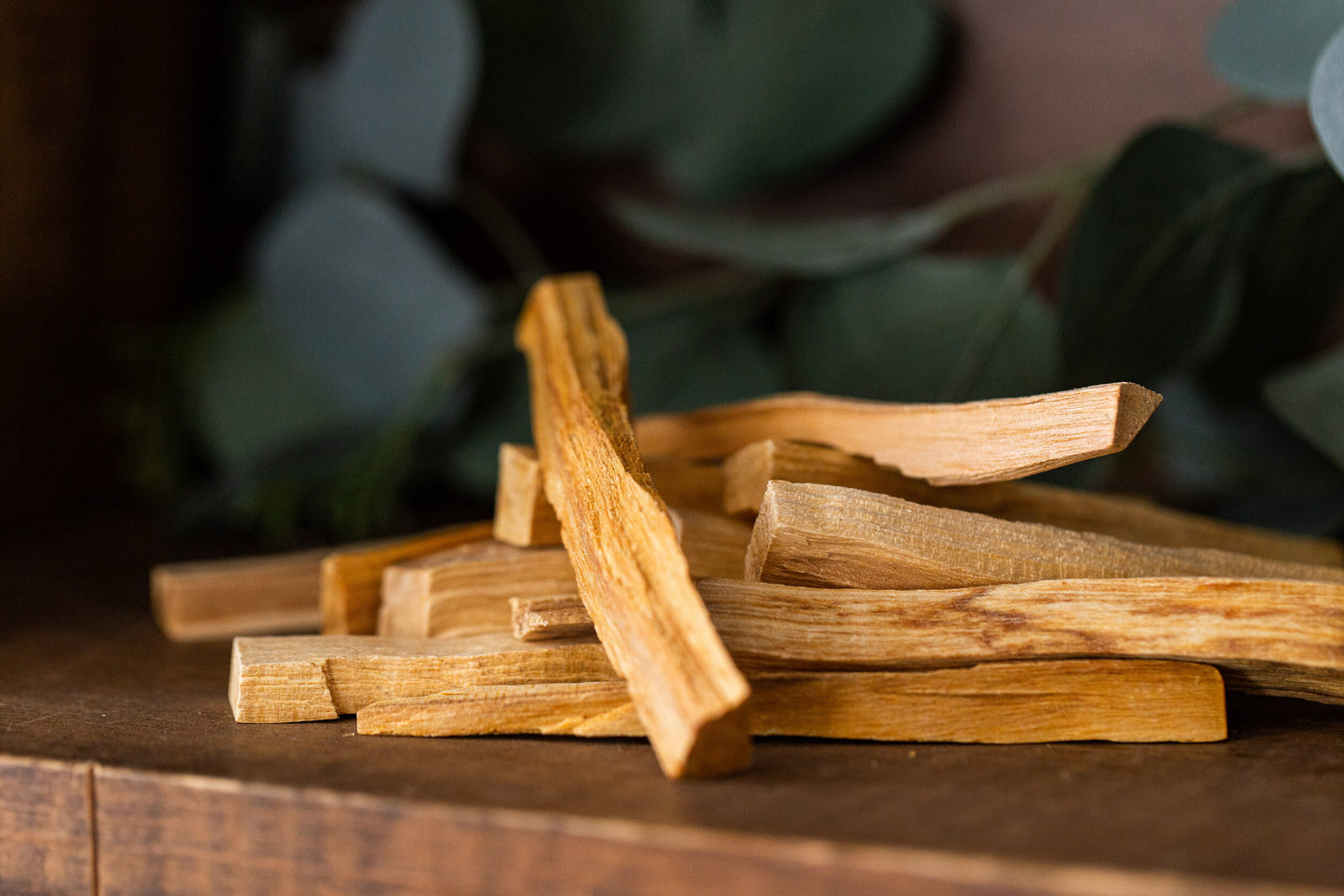 Palo Santo Sacred Wood Sticks (Pack of 4)