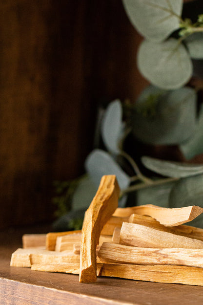 Palo Santo Sacred Wood Sticks (Pack of 4)