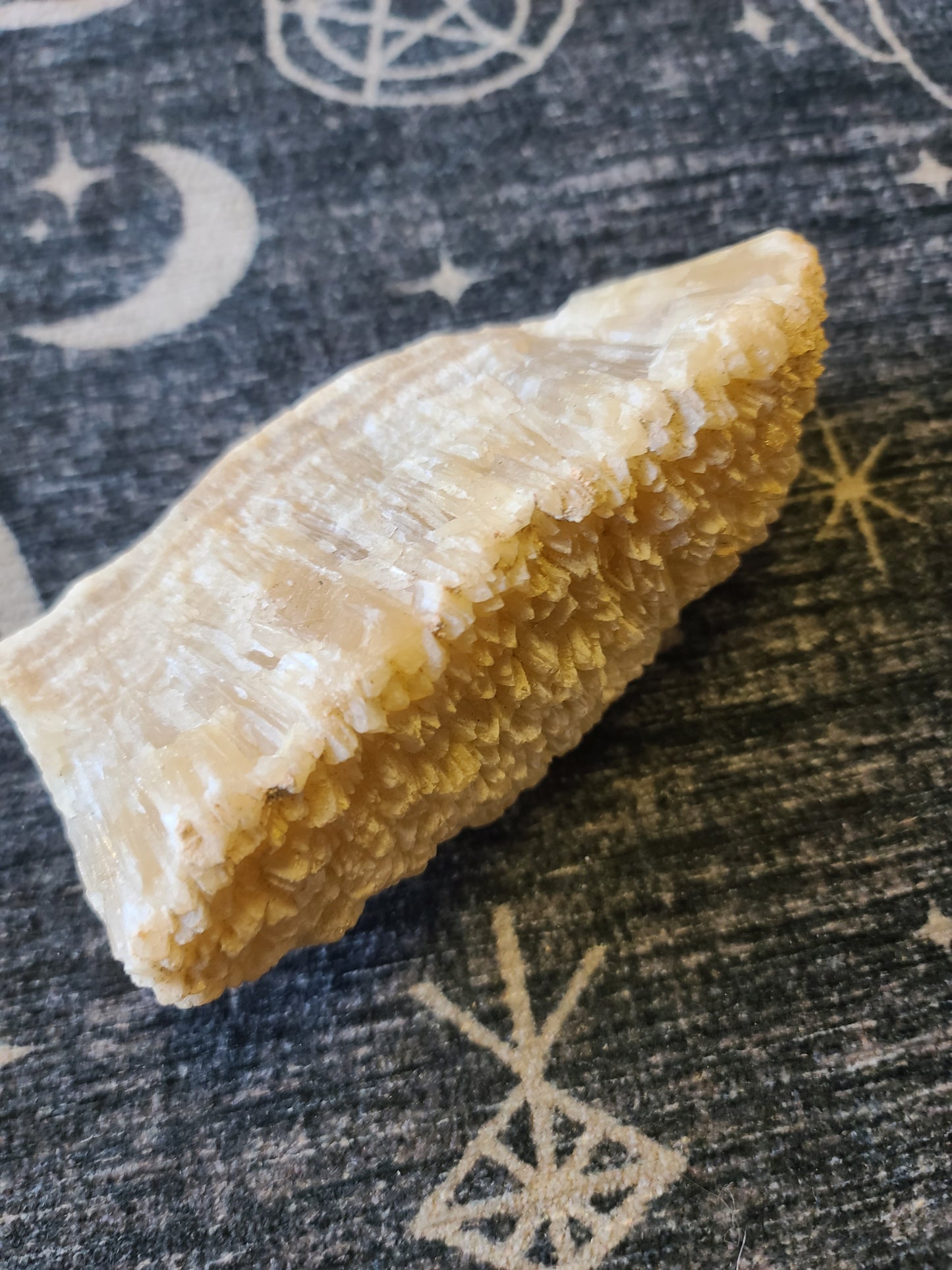 Banded Calcite Angel Wing