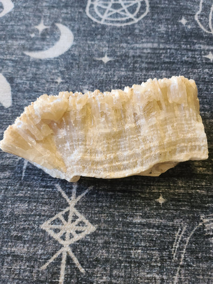 Banded Calcite Angel Wing