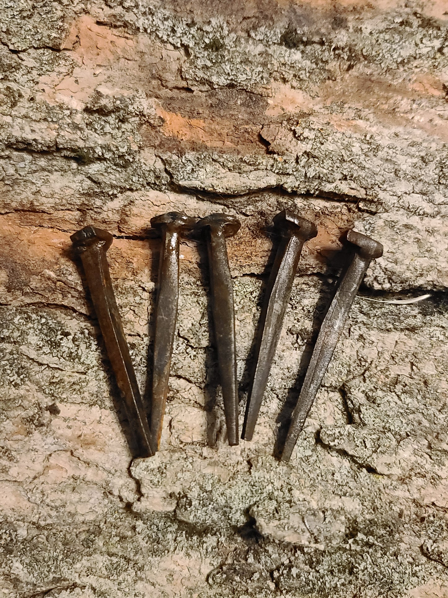 Hand Forged Wrought Iron Coffin Nails