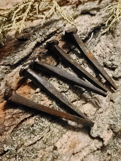 Hand Forged Wrought Iron Coffin Nails