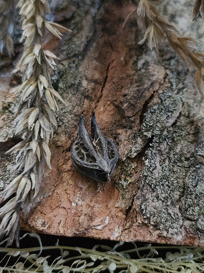 Ritual Herbs - Bat's Head Pod/Root