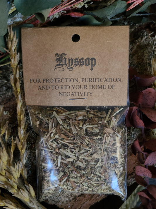 Ritual Herbs - Hyssop