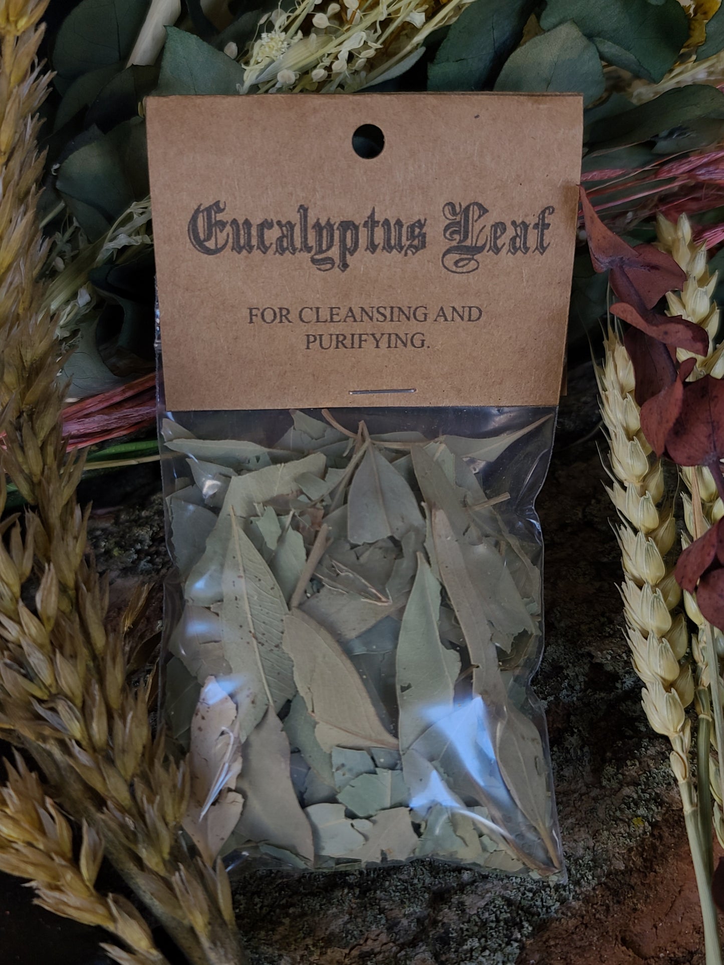 Ritual Herbs - Eucalyptus Leaf