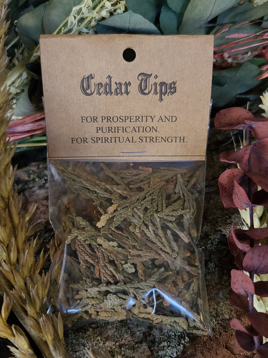 Ritual Herbs - Cedar Tips