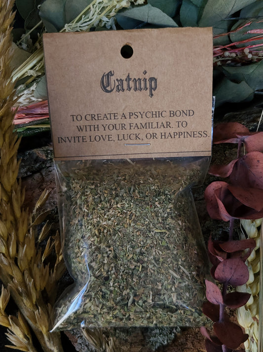 Ritual Herbs - Catnip