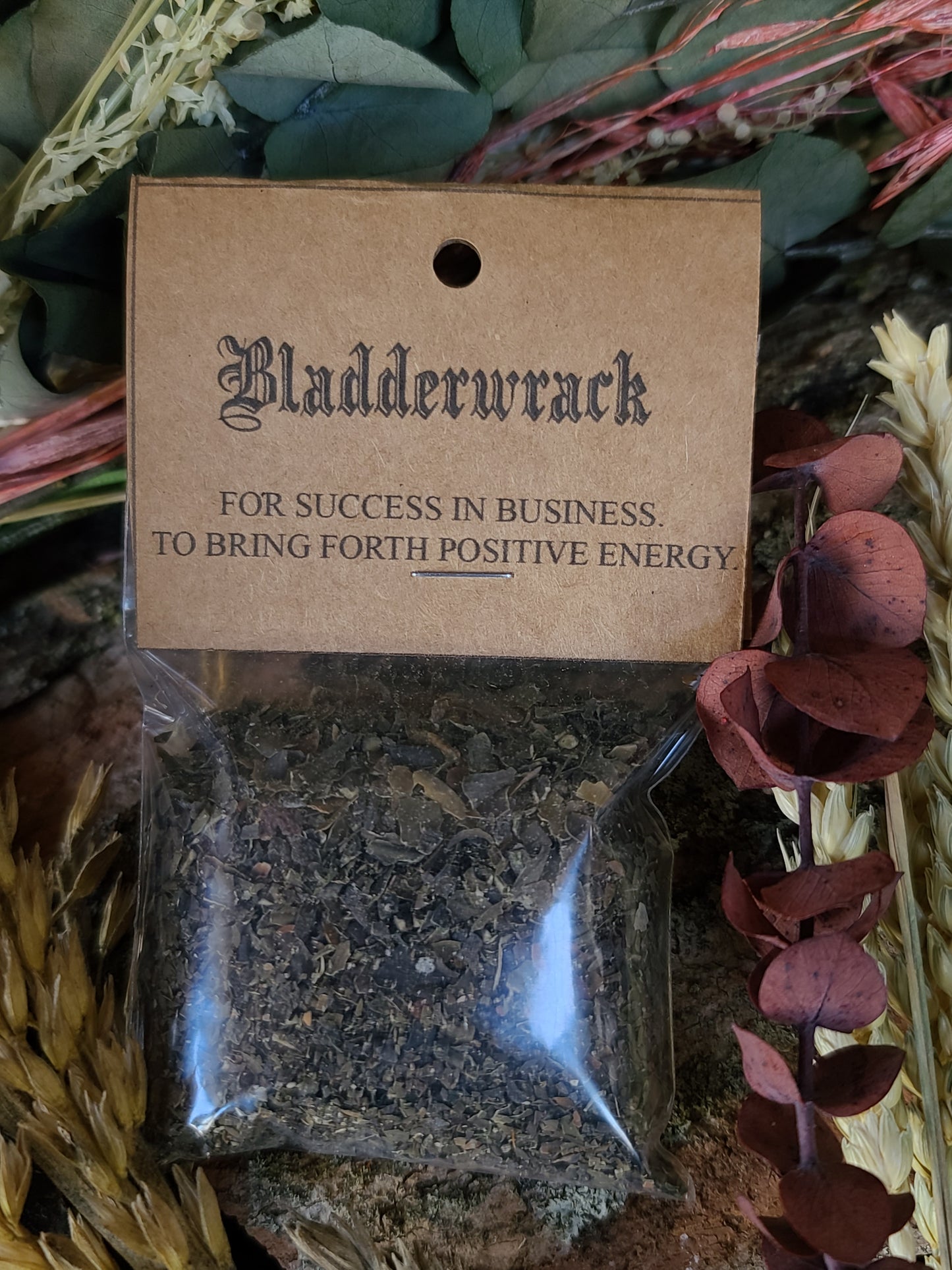 Ritual Herbs - Bladderwrack