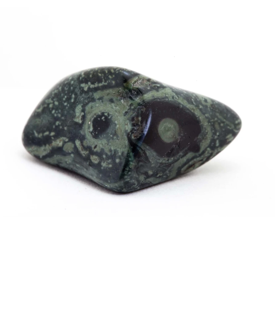 Kambaba "Crocodile" Jasper | Green Stromatolite (Tumbled)