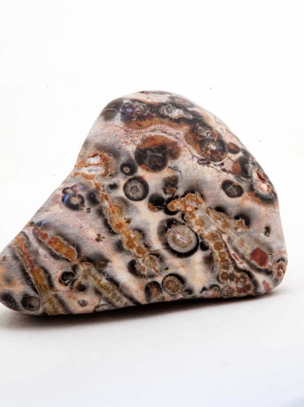 Leopard Jasper (Tumbled)