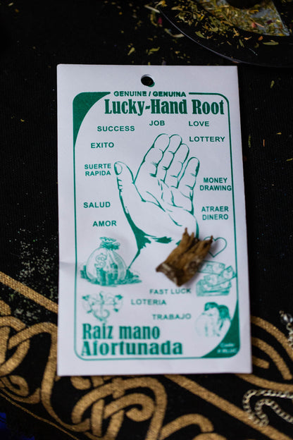 Lucky Hand Root for bringing luck and protecting from harm