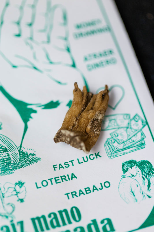 Lucky Hand Root for bringing luck and protecting from harm