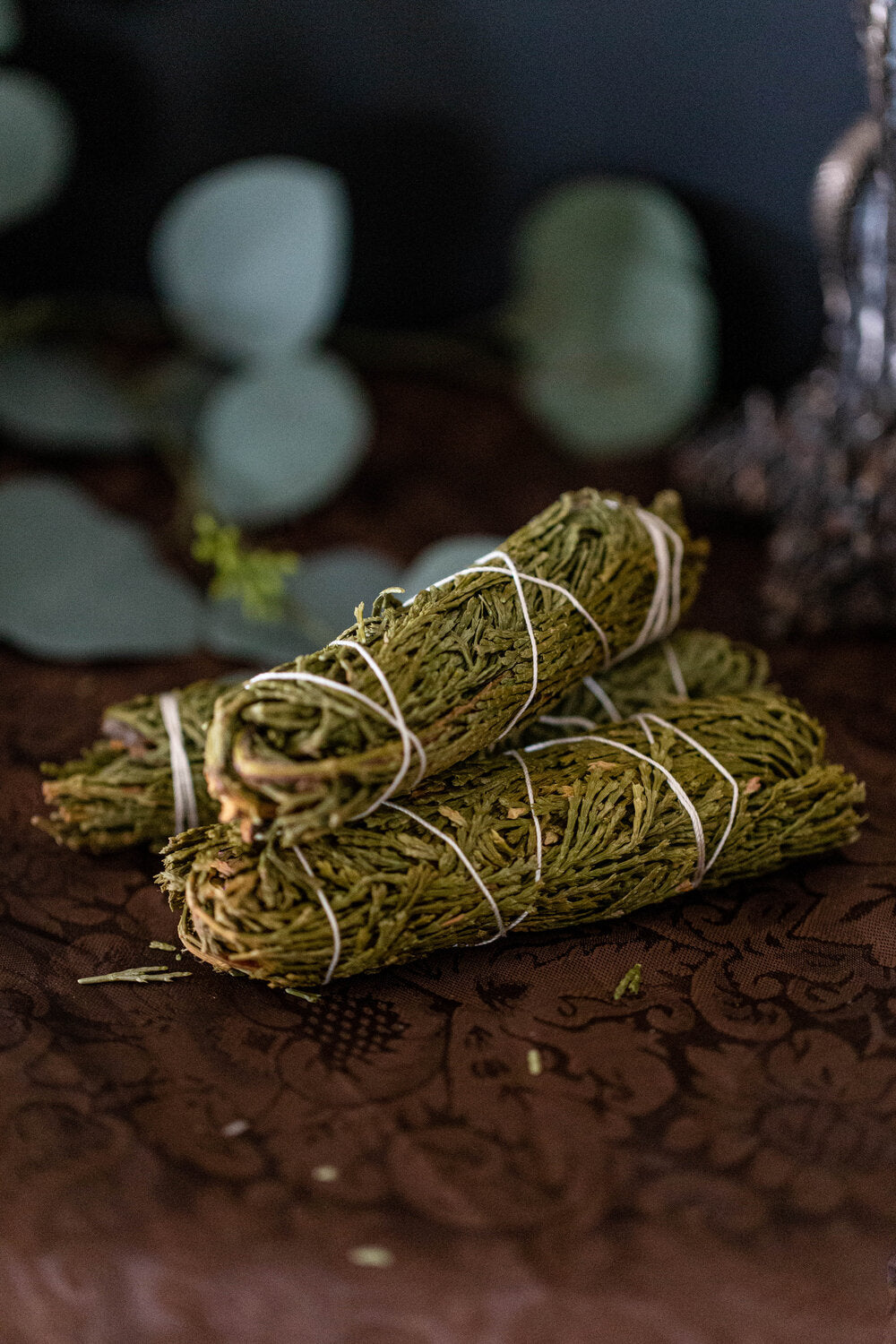 Cedar Herbal Bundle