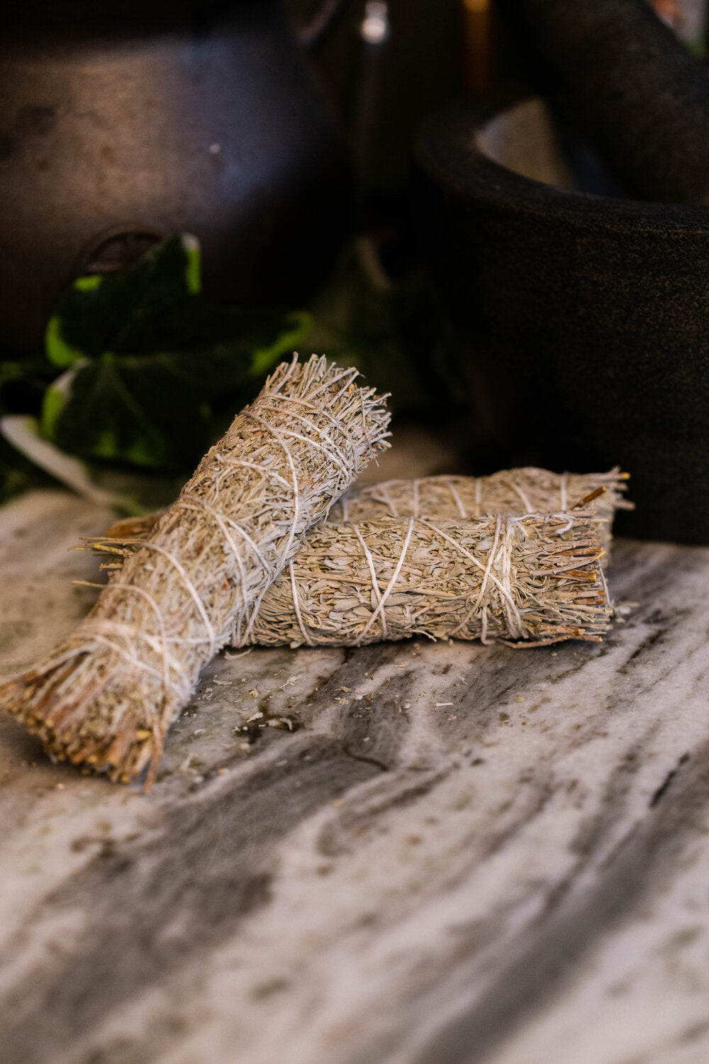 Frankincense Resin Dipped Mountain Sage Herbal Bundle